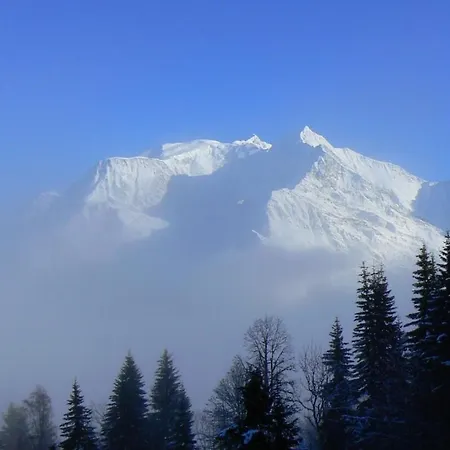 Appartamento Deux Pièces Pleine Vue Montblanc Près Des Pistes